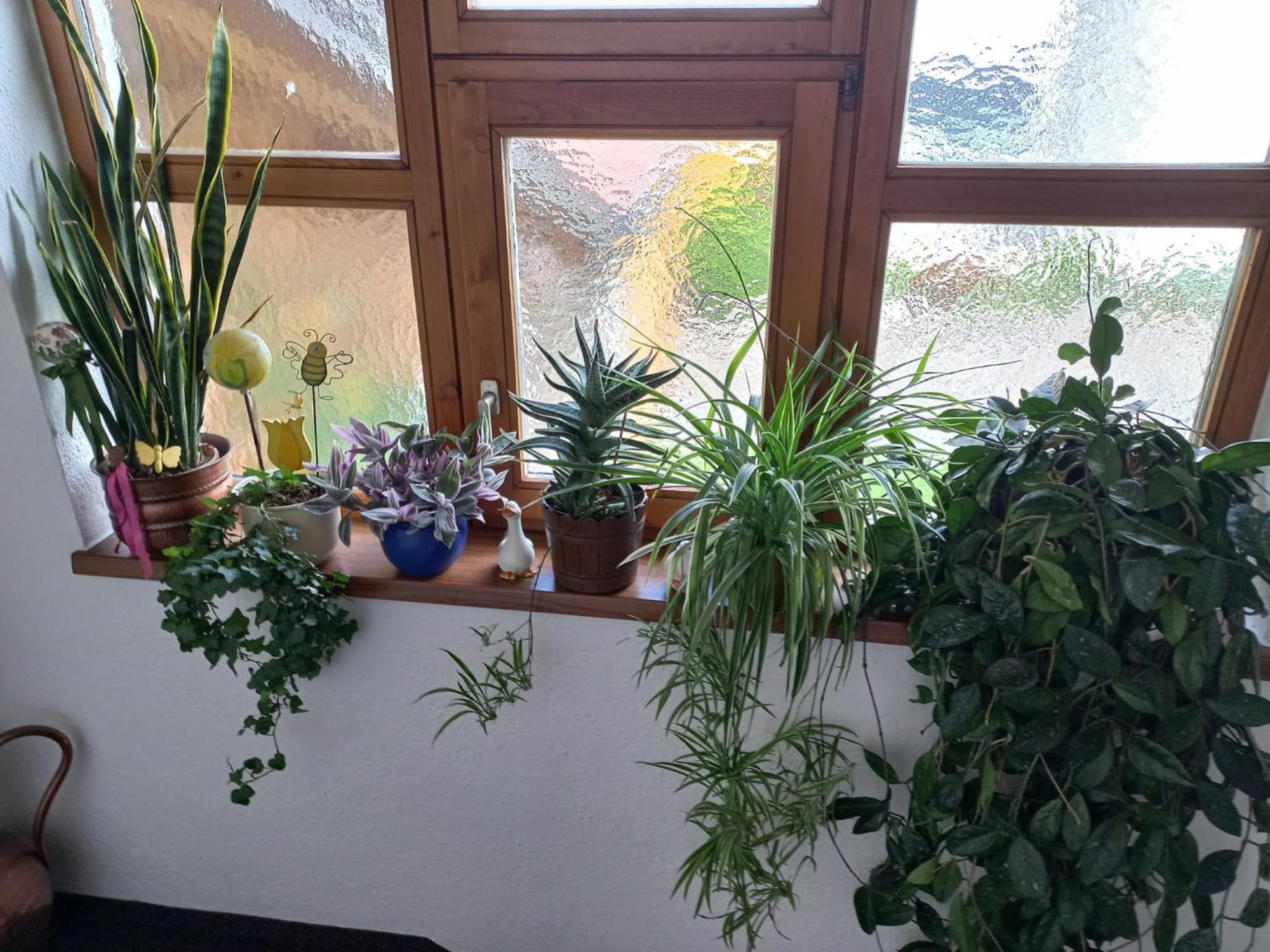Ferienwohnungen Plattner Längenfeld Esterno foto